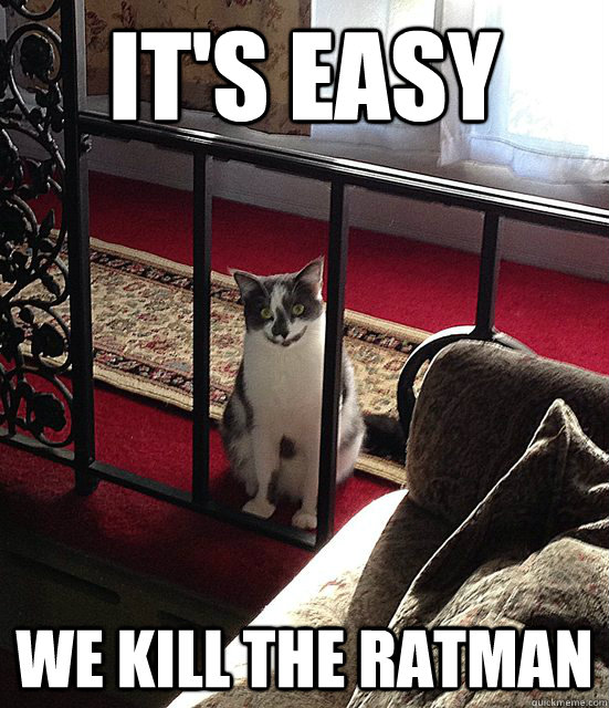 It's Easy We Kill the Ratman  Joker Cat