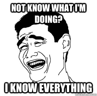 Not Know What I'm Doing? I Know Everything  Meme