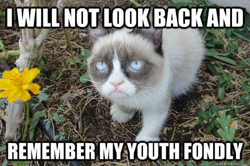 i will not look back and remember my youth fondly - i will not look back and remember my youth fondly  gRUMPY CAT FLOWER