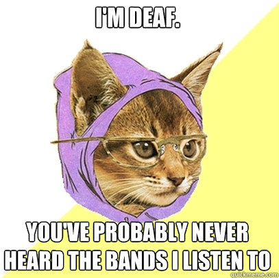 I'm deaf. You've probably never heard the bands I listen to  Hipster Kitty
