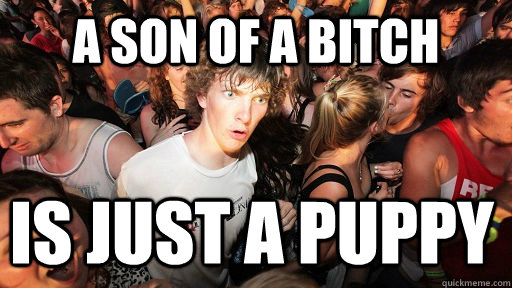 a son of a bitch is just a puppy  Sudden Clarity Clarence
