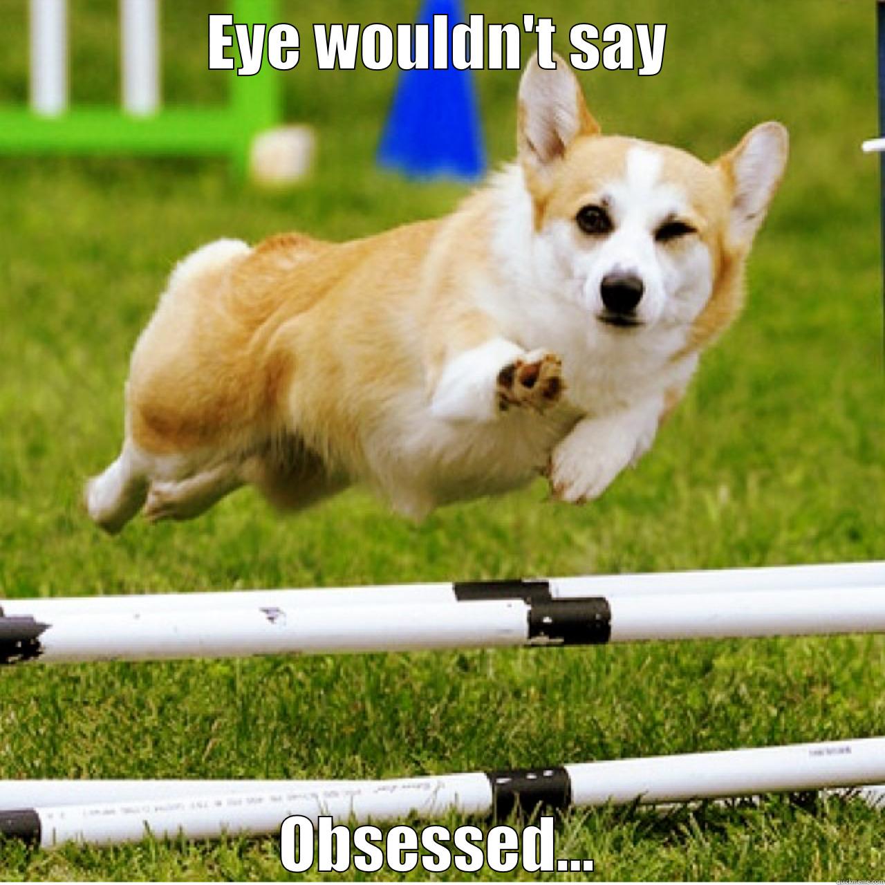 EYE WOULDN'T SAY OBSESSED... Misc