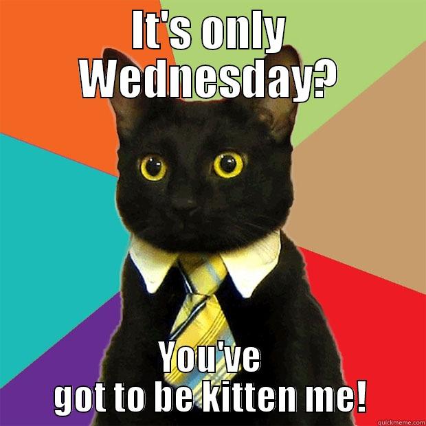 IT'S ONLY WEDNESDAY? YOU'VE GOT TO BE KITTEN ME! Business Cat