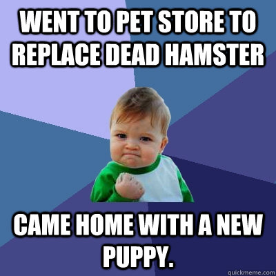 Went to pet store to replace dead hamster Came home with a new puppy.  Success Kid