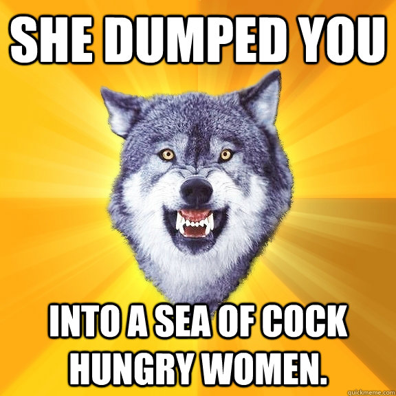SHE DUMPED YOU INTO A SEA OF COCK HUNGRY WOMEN. - SHE DUMPED YOU INTO A SEA OF COCK HUNGRY WOMEN.  Courage Wolf