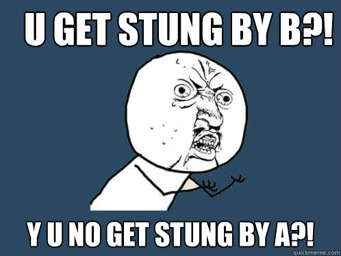 U GET STUNG BY B?! Y U NO GET STUNG BY A?!  Y U No