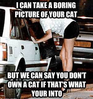 I can take a boring picture of your cat But we can say you don't own a cat if that's what your into  Karma Whore