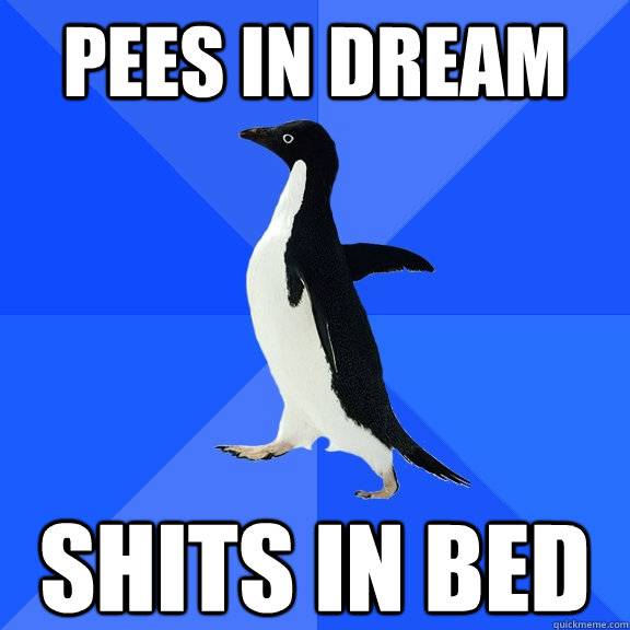 Pees in dream shits in bed  Socially Awkward Penguin