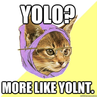 yolo? more like yolnt. - yolo? more like yolnt.  Hipster Kitty