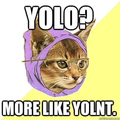 yolo? more like yolnt.  Hipster Kitty