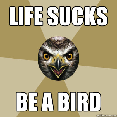 life sucks be a bird  Bird Boy