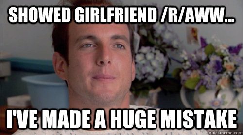 Showed girlfriend /r/aww... I've made a huge mistake - Showed girlfriend /r/aww... I've made a huge mistake  Huge Mistake Gob