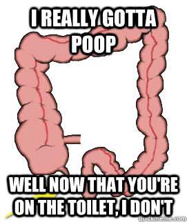 I really gotta poop well now that you're on the toilet, i don't - I really gotta poop well now that you're on the toilet, i don't  Scumbag Bowels