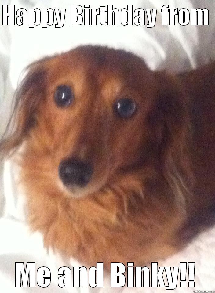 Binky be like - HAPPY BIRTHDAY FROM  ME AND BINKY!! Misc