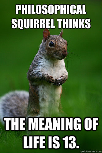 Philosophical Squirrel Thinks The Meaning of Life is 13. - Philosophical Squirrel Thinks The Meaning of Life is 13.  Philosophical Squirrel