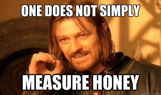 One Does Not Simply Measure Honey  Boromir