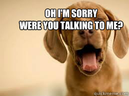 oh i'm sorry 
were you talking to me? - oh i'm sorry 
were you talking to me?  boring