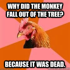 Why did the monkey fall out of the tree? because it was dead. - Why did the monkey fall out of the tree? because it was dead.  Anti-Anti-Joke Chicken