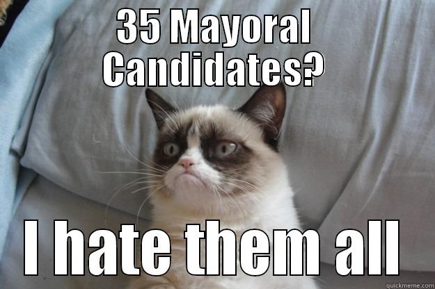 35 MAYORAL CANDIDATES? I HATE THEM ALL Grumpy Cat