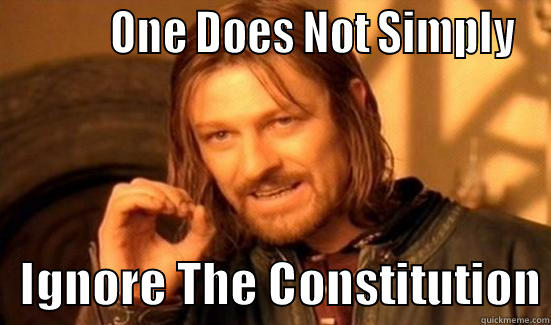           ONE DOES NOT SIMPLY    IGNORE THE CONSTITUTION Boromir