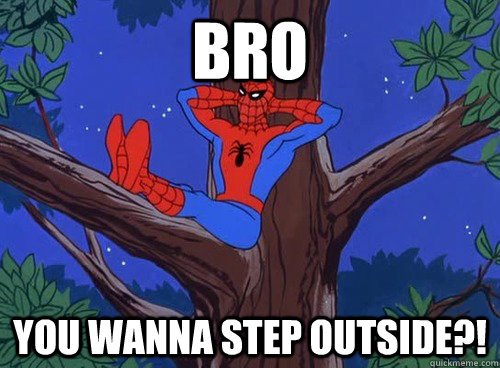 bro You wanna step outside?!  Spider man