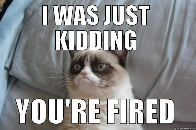 I WAS JUST KIDDING YOU'RE FIRED Grumpy Cat