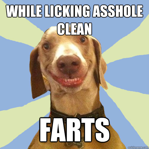 while licking asshole clean farts - while licking asshole clean farts  Disgusting Doggy