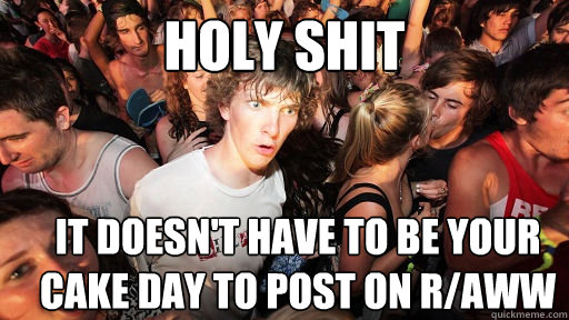 holy shit it doesn't have to be your cake day to post on r/aww  Sudden Clarity Clarence