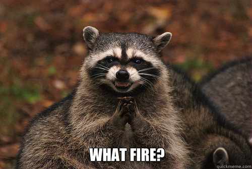  What Fire? -  What Fire?  Insidious Racoon 2