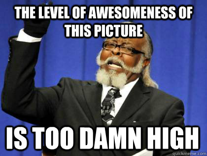 The level of awesomeness of this picture is too damn high  Its too damn high