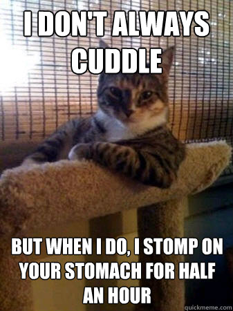 i don't always cuddle but when i do, i stomp on your stomach for half an hour  The Most Interesting Cat in the World