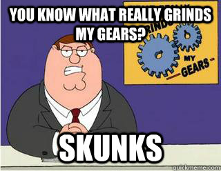 You Know What really grinds my gears? skunks  Grinds my gears