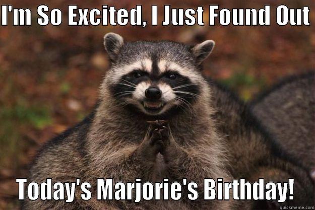 Overly Happy Racoon - I'M SO EXCITED, I JUST FOUND OUT  TODAY'S MARJORIE'S BIRTHDAY! Evil Plotting Raccoon