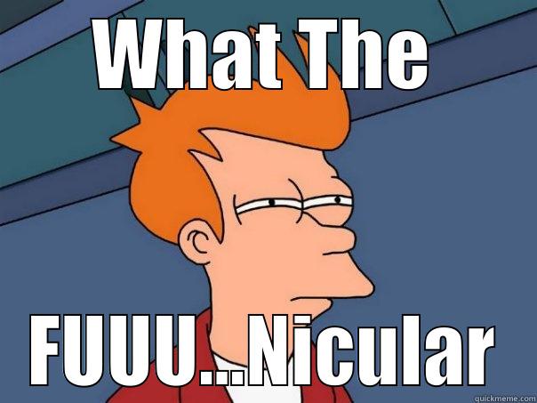 WHAT THE FUUU...NICULAR Futurama Fry