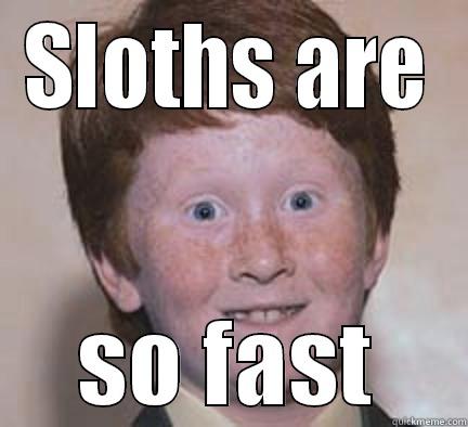 SLOTHS ARE SO FAST Over Confident Ginger
