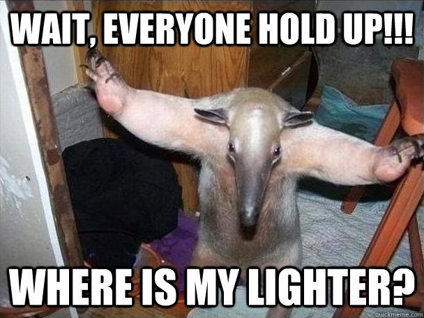 Wait, everyone hold up!!! Where is my lighter?  I got this