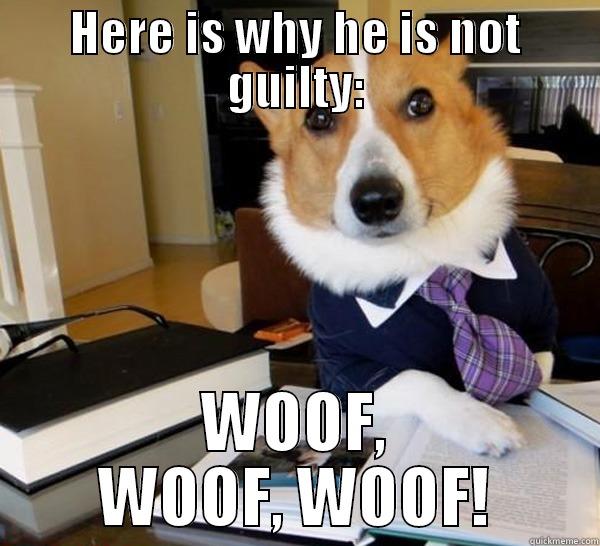 HERE IS WHY HE IS NOT GUILTY: WOOF, WOOF, WOOF! Lawyer Dog