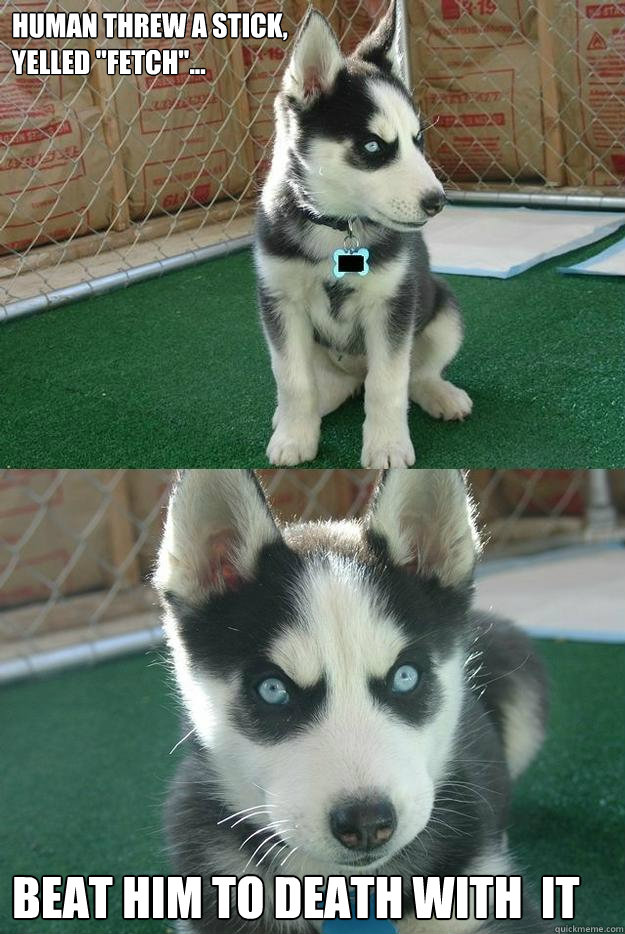 Human threw a stick,
Yelled 