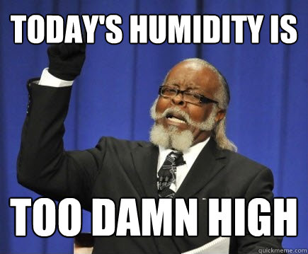 Today's humidity is too damn high  Too Damn High