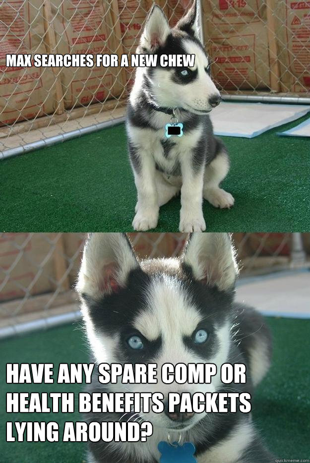 max searches for a new chew have any spare comp or health benefits packets lying around?  Insanity puppy