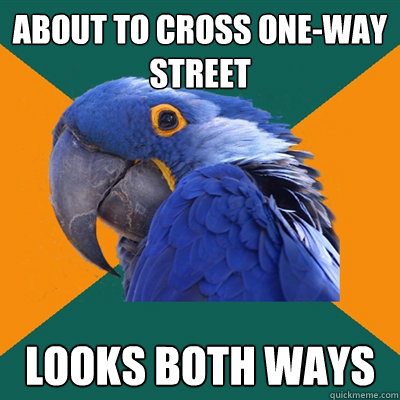 about to cross one-way street Looks both ways  Paranoid Parrot