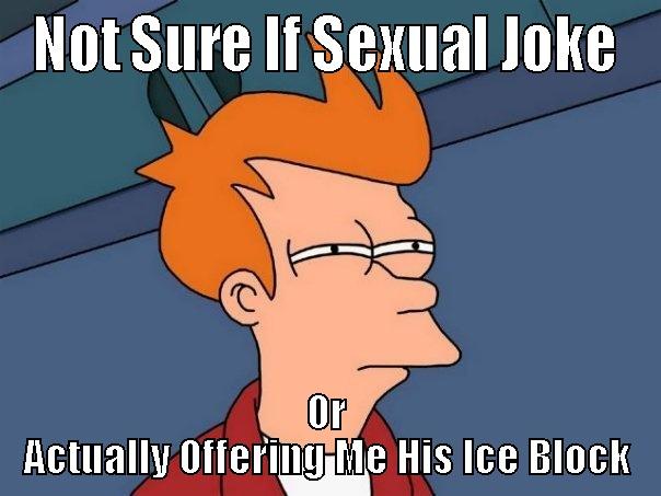 NOT SURE IF SEXUAL JOKE OR ACTUALLY OFFERING ME HIS ICE BLOCK Futurama Fry
