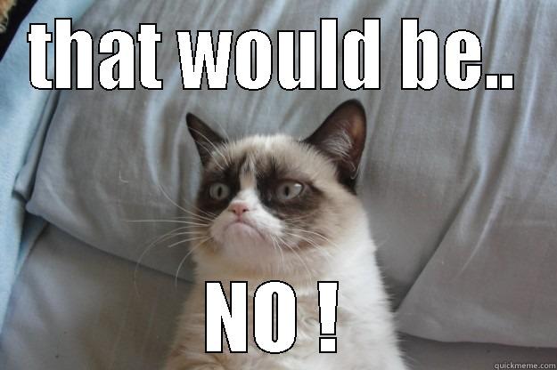 THAT WOULD BE.. NO ! Grumpy Cat