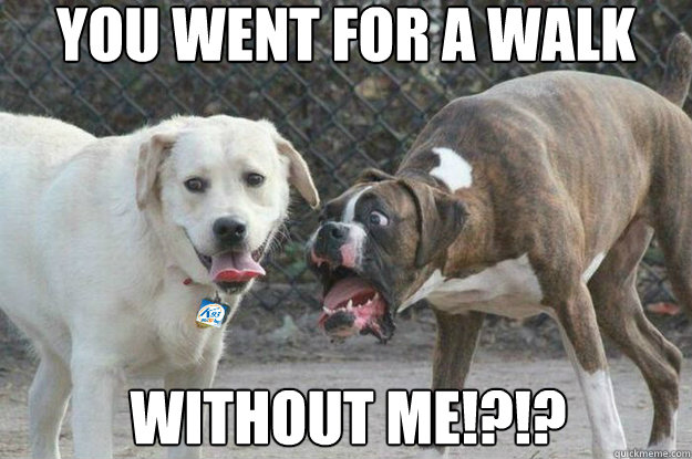 you went for a walk without me!?!? - you went for a walk without me!?!?  Dog Walk Meme