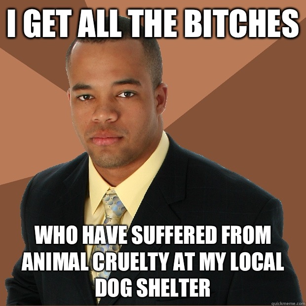 I get all the bitches Who have suffered from animal cruelty at my local dog shelter  Successful Black Man