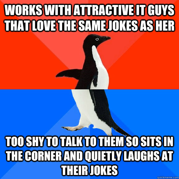 works with attractive it guys that love the same jokes as her too shy to talk to them so sits in the corner and quietly laughs at their jokes  Socially Awesome Awkward Penguin
