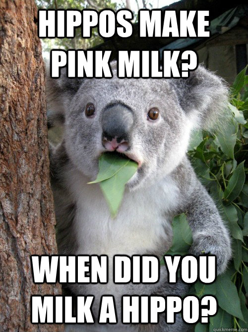 Hippos make pink milk? When did you milk a hippo?  koala bear