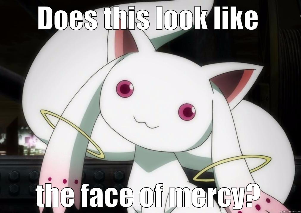 DOES THIS LOOK LIKE THE FACE OF MERCY? Misc
