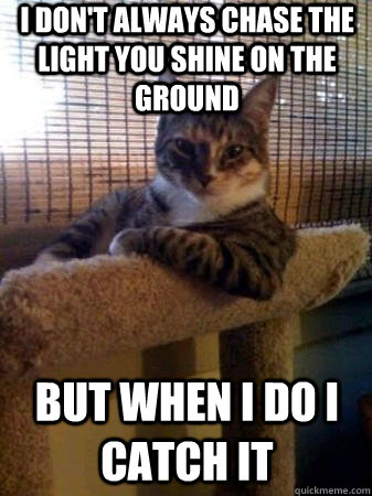 I don't always chase the light you shine on the ground But when I do I catch it  The Most Interesting Cat in the World