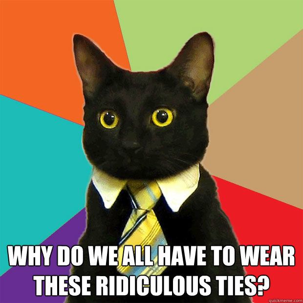  Why do we all have to wear these ridiculous ties? -  Why do we all have to wear these ridiculous ties?  Business Cat